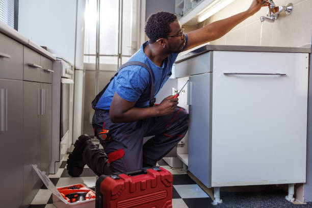 Best Commercial Plumbing Services  in Linden, AZ